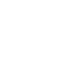 Award Icon Award Icon