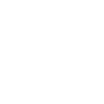 Globe Icon Globe Icon