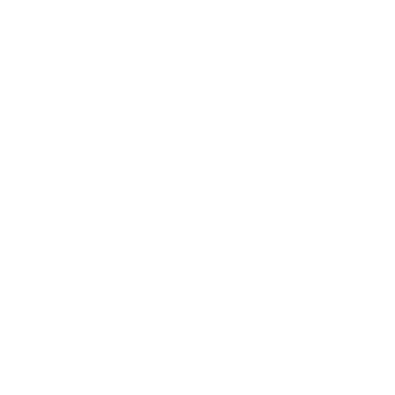 Fractional CMO Marketing Services Icon 2 Fractional CMO Marketing Services Icon 2